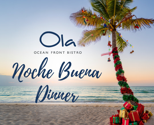 Palm Tree decorated for christmas at the beach with Noche Buena Dinner at Ola written