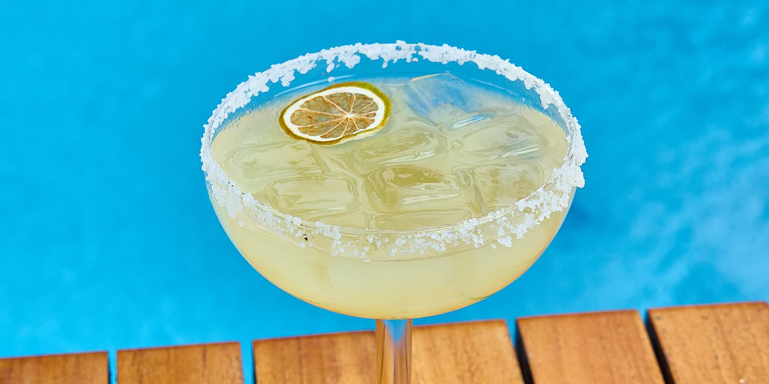 Close-up shot of a beautifully plated gourmet dish | Condado Vanderbilt Hotel