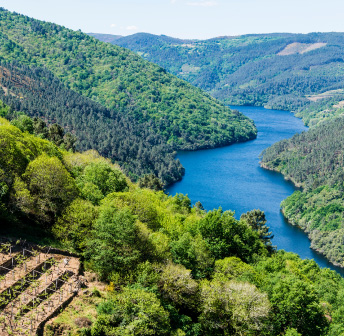 Wine Event Series: Galicia Wine Dinner