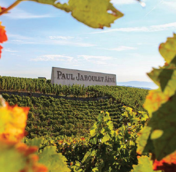 Wine Event Series Presents: Paul Jaboulet Wines