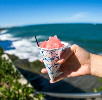 Celebrate Tradition - Día de San Juan