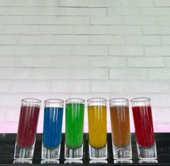 PRIDE Celebration
